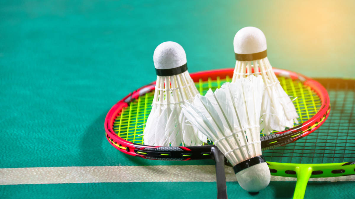 自从引入速 自从引入速