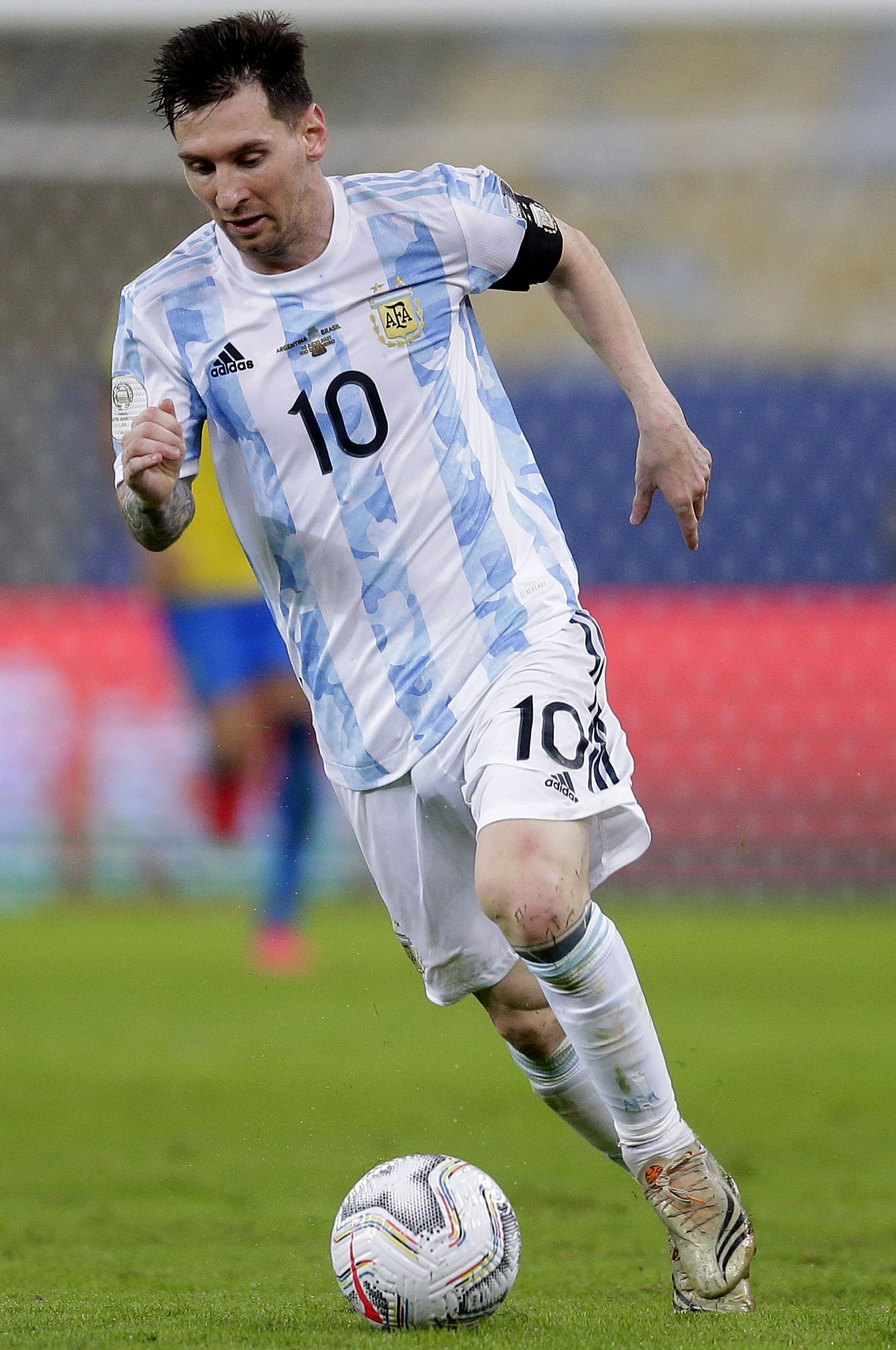 还带动了本 还带动了本