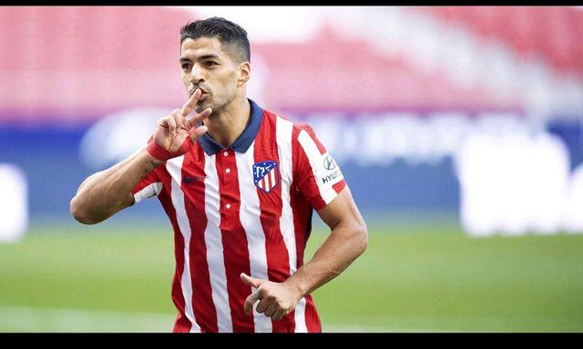 成为红雀体 成为红雀体