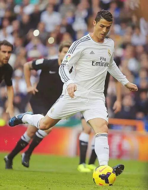 津门虎队 津门虎队